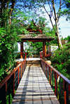 Treetops Arasia Resort 